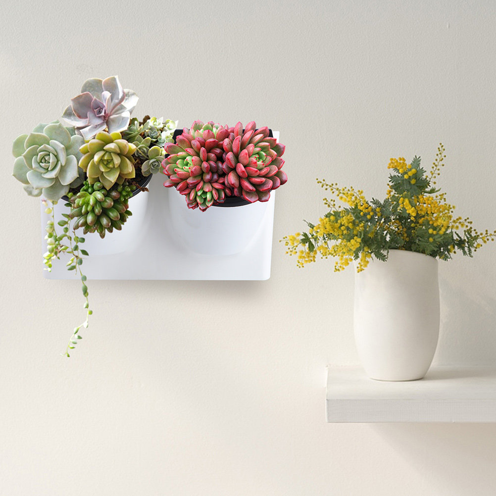 Self Watering Planter - وعاء زهور بلاستيكي ذاتي الري، وعاء