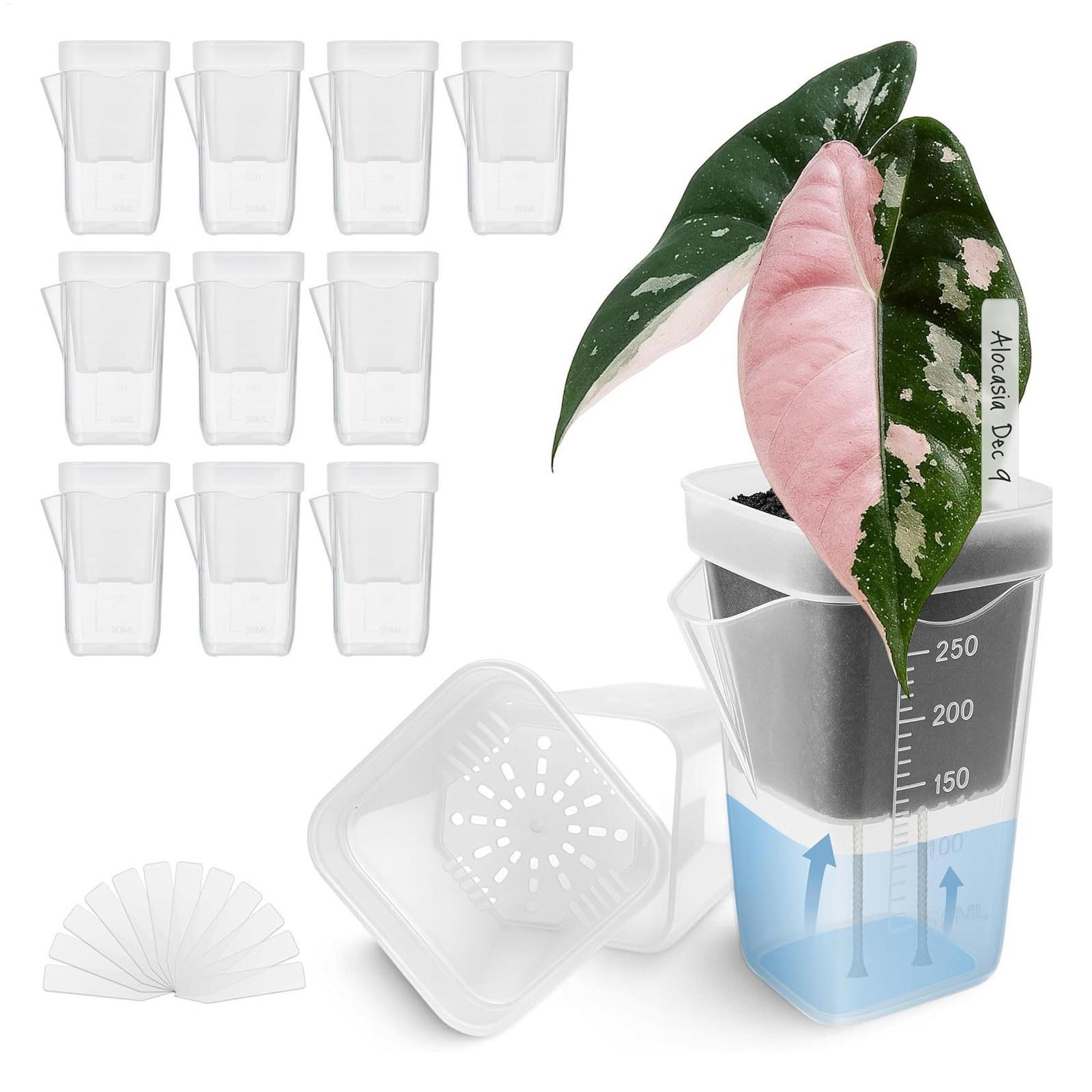 Hydroponic Grow Pod - 10 قطع من أواني النباتات الداخلية