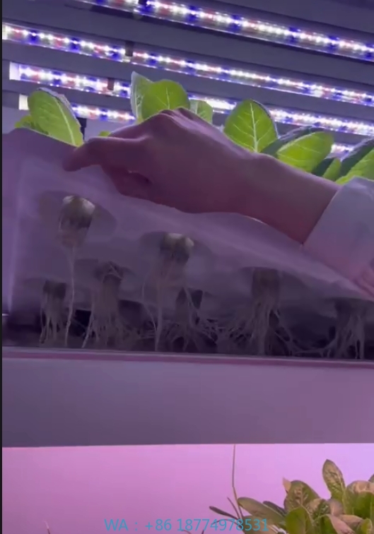 Hydroponic Tower - f المعدات الزراعية الدفيئة تنمو الفطر