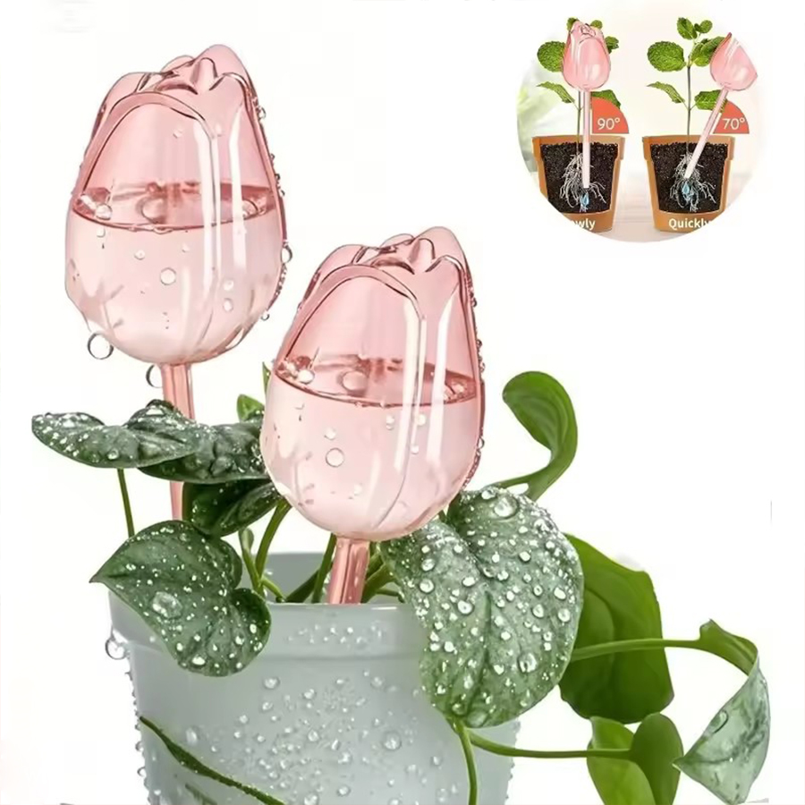 Self Watering Planter - مروي ذاتي الشفافية على شكل زهرة