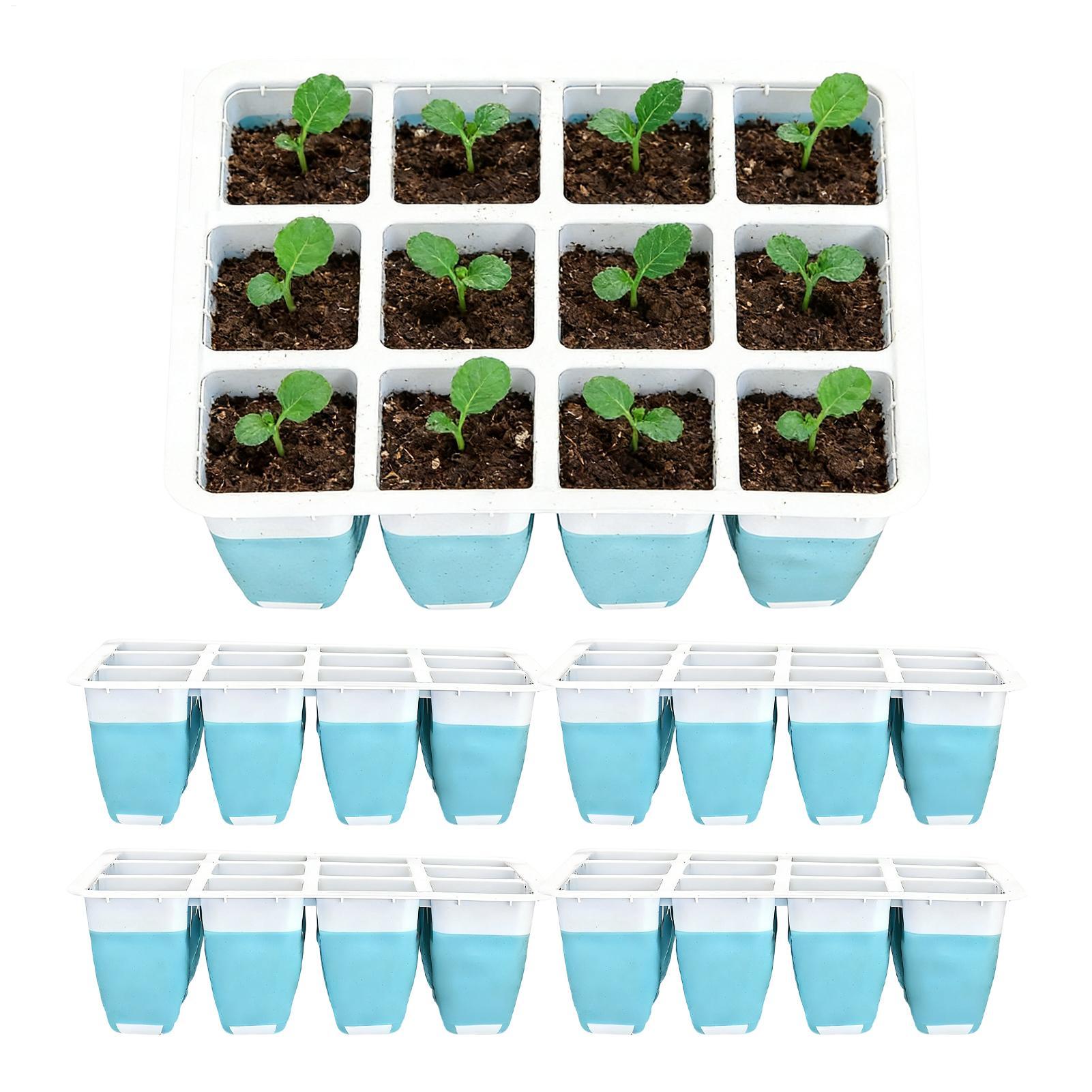 Indoor Garden Kit - مجموعة من 5 صواني سيليكون لبدء