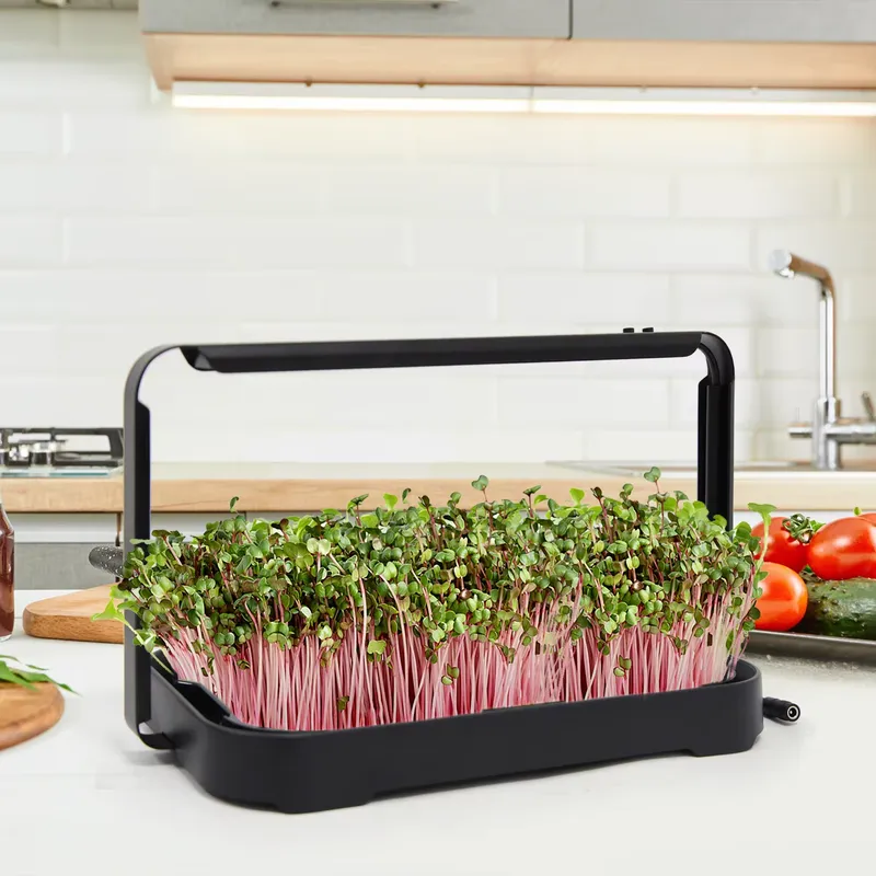 Smart Garden Kit - صينية زراعة مائية داخلية، نظام زراعة