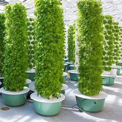 أنظمة برج الزراعة الهوائية مع  - مراجعة Hydroponic Tower وسعره