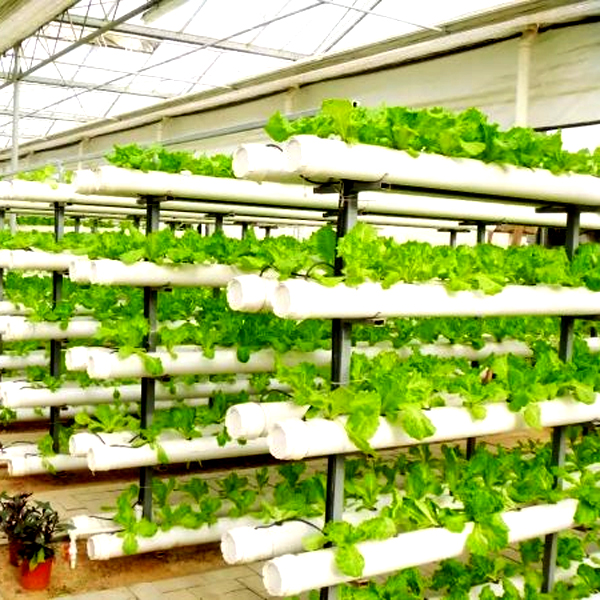 أنظمة زراعة عمودية خارجية بدون - مراجعة Hydroponic Tower وسعره