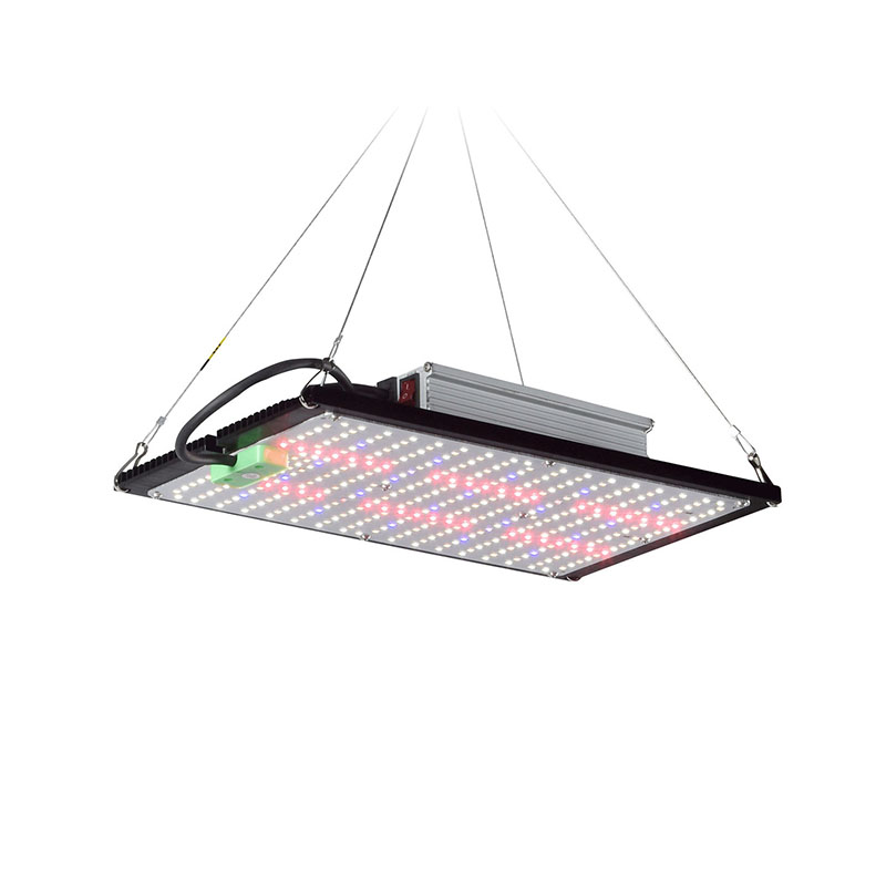 مصباح نمو LED كوانتوم-بورد كام - مراجعة Grow Light Led وسعره