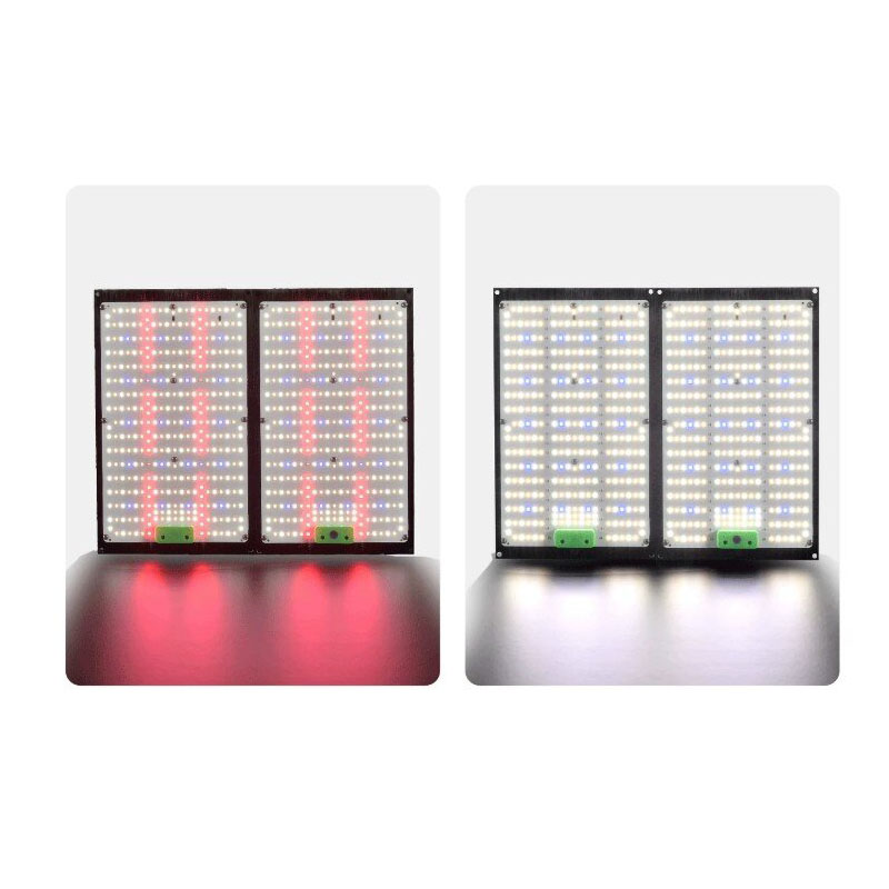 مصباح نمو LED كوانتوم-بورد كام - مراجعة Grow Light Led وسعره
