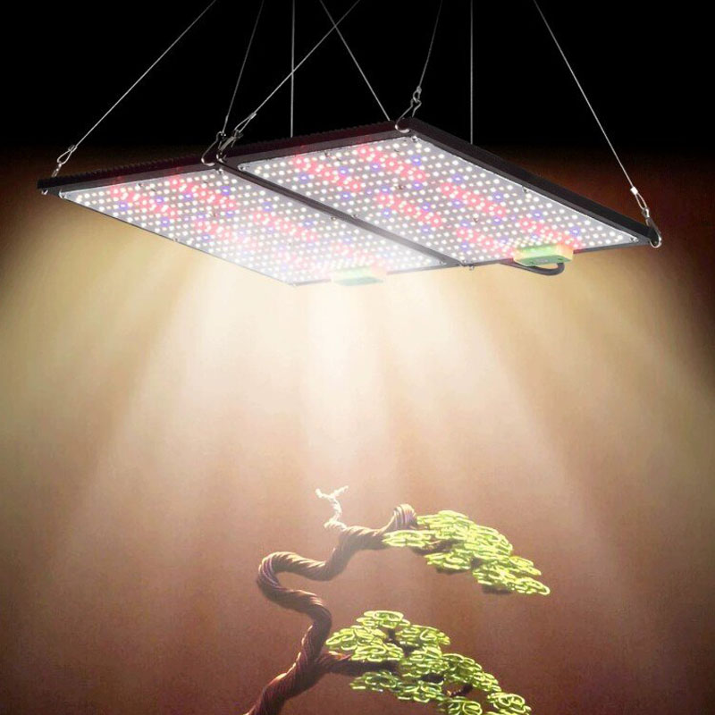 مصباح نمو LED كوانتوم-بورد كام - مراجعة Grow Light Led وسعره