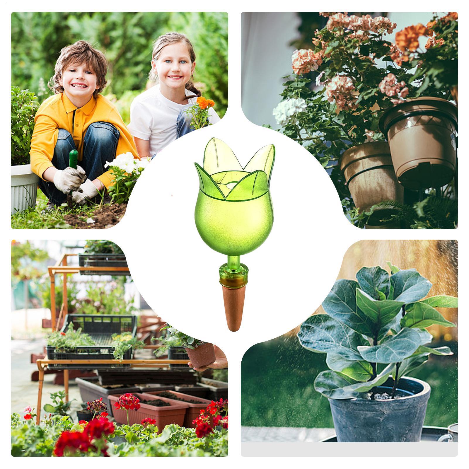 أجهزة سقي النباتات الذاتية نظا - مراجعة Self Watering Planter وسعره