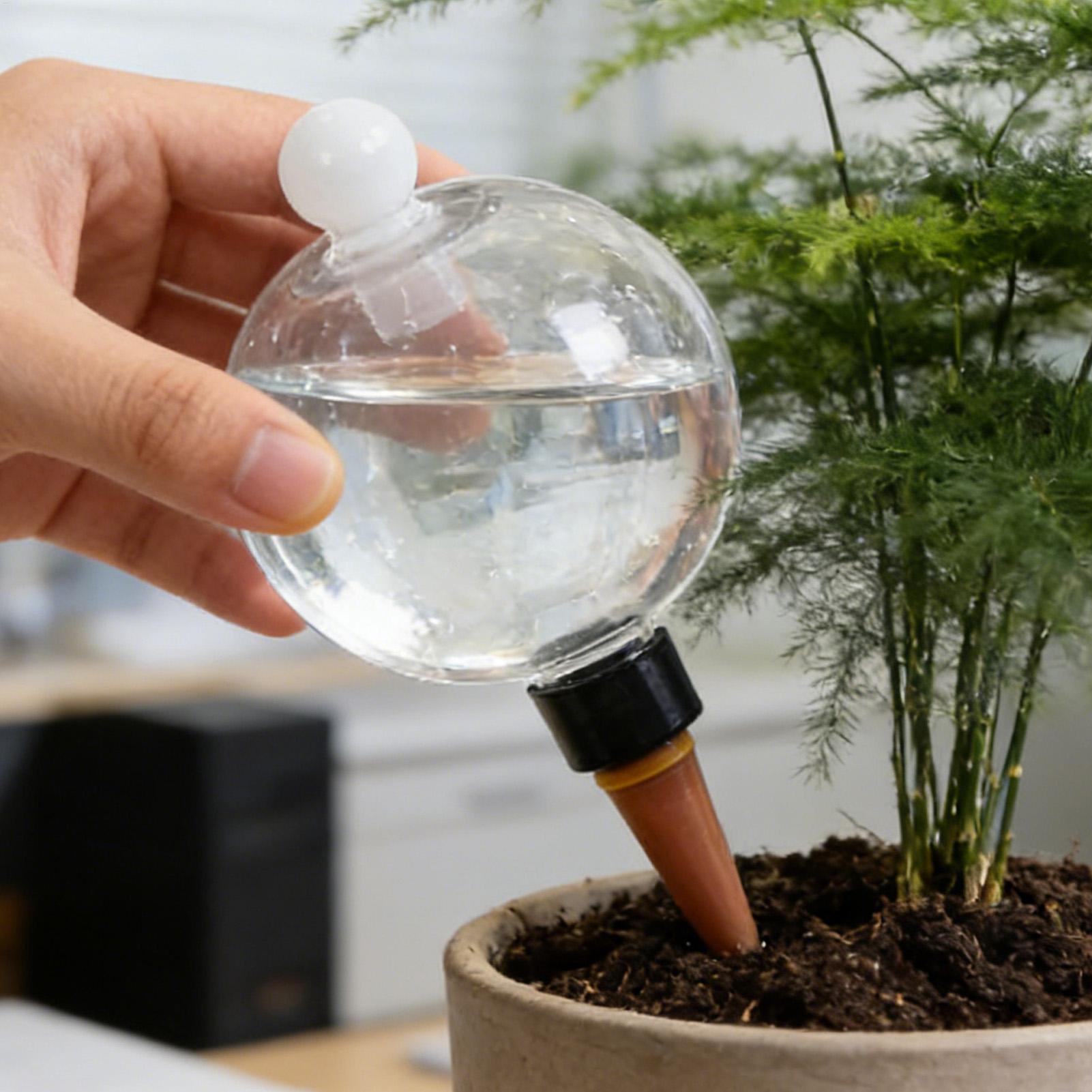 كرات سقي النباتات 4 قطع 500 مل - مراجعة Self Watering Planter وسعره