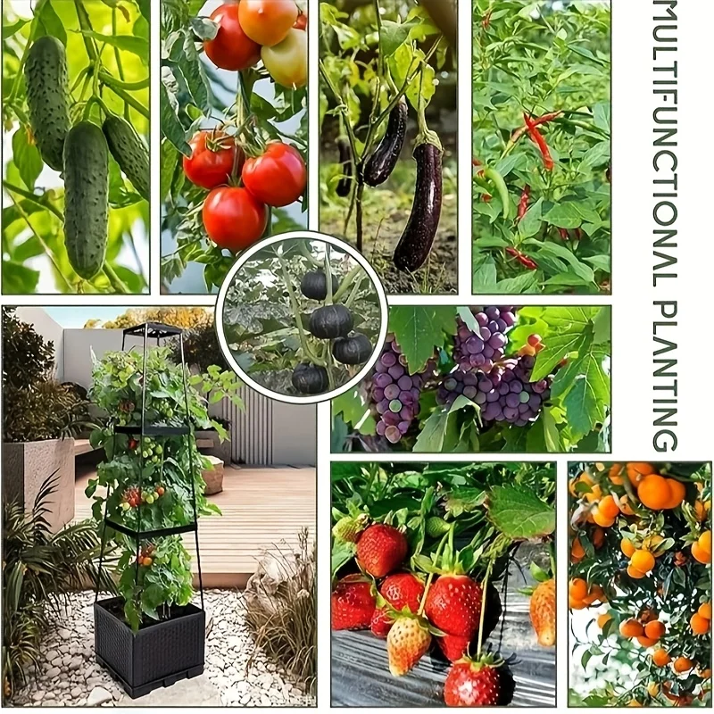 برج طماطم مع صندوق زراعة ذاتي  - مراجعة Hydroponic Tower وسعره