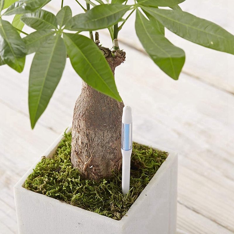 جهاز قياس رطوبة التربة، 5 قطع، - مراجعة Plant Sensor وسعره