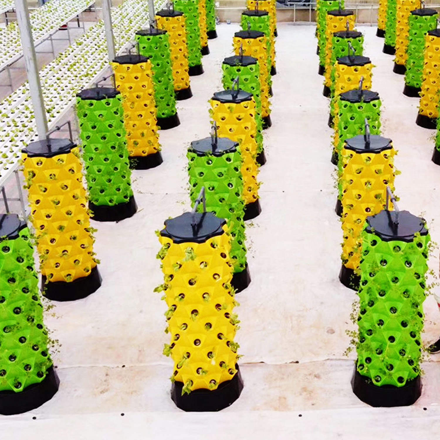 نظام حديقة عمودية هيدروبونية ج - مراجعة Hydroponic Tower وسعره