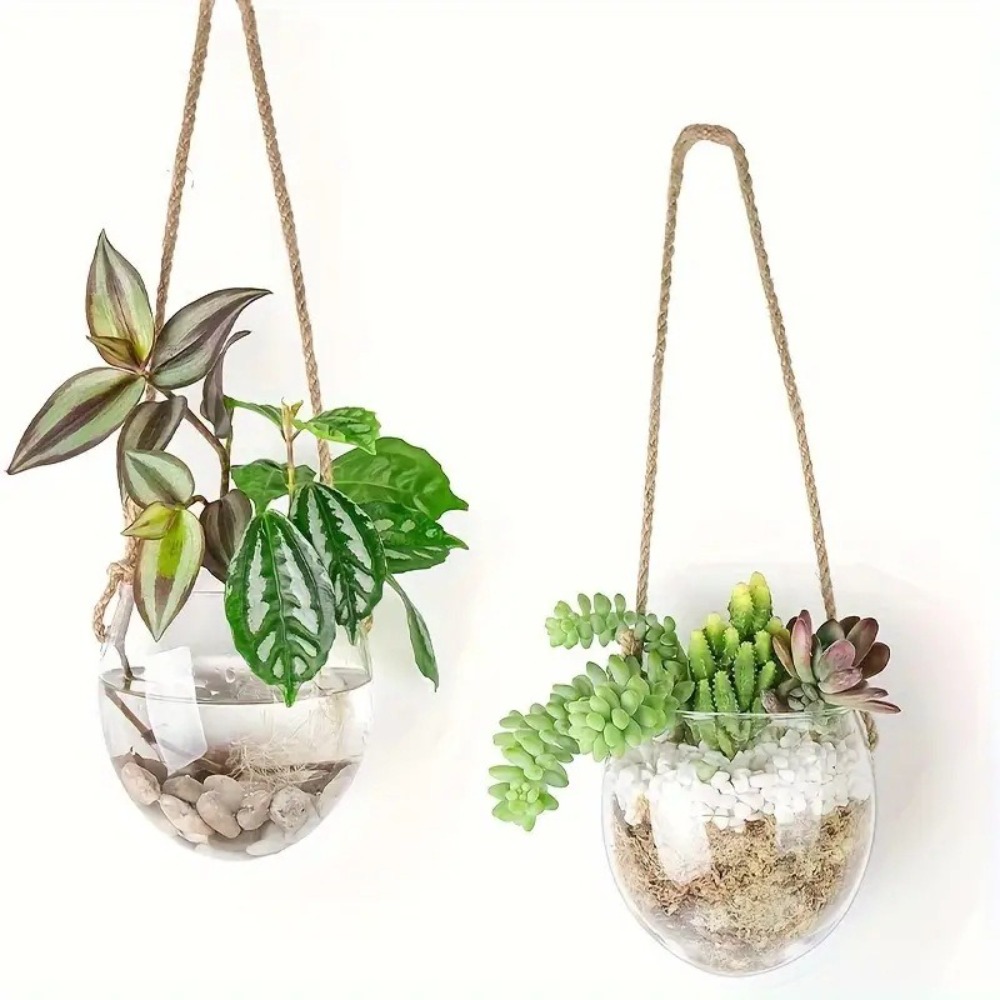مزهرية زجاجية شفافة معلقة للزر - مراجعة Hydroponic Grow Pod وسعره