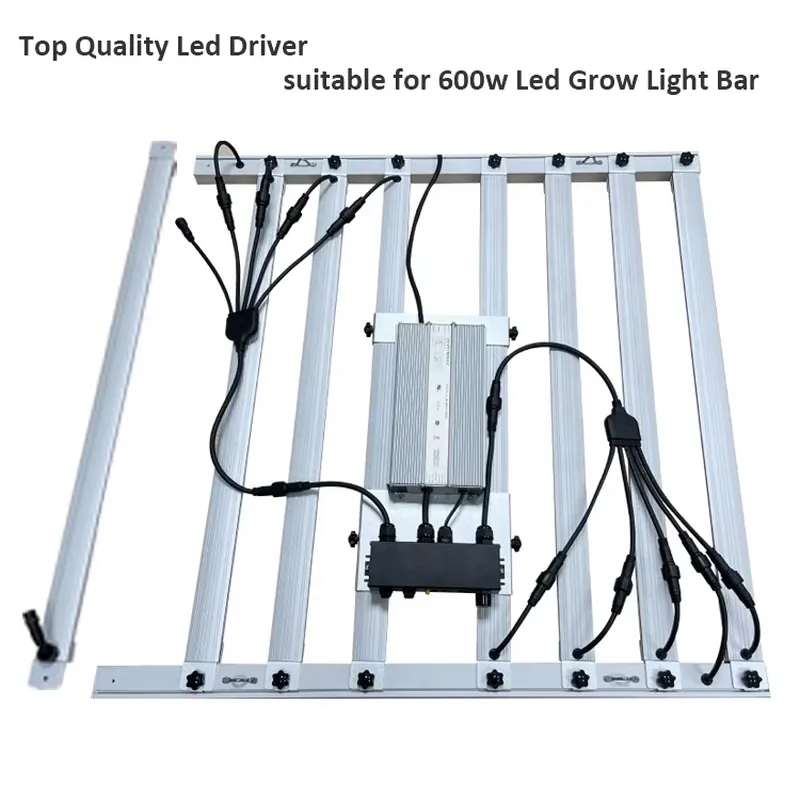 محرك إضاءة نمو النباتات بقوة 6 - مراجعة Grow Light Led وسعره