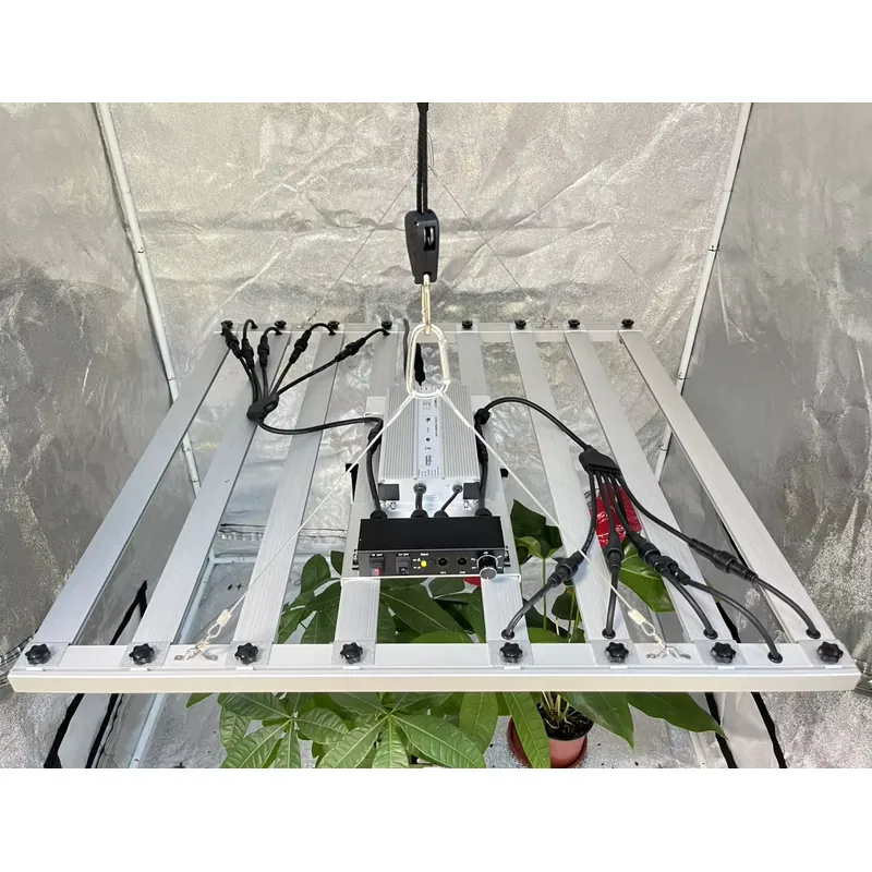 محرك إضاءة نمو النباتات بقوة 6 - مراجعة Grow Light Led وسعره