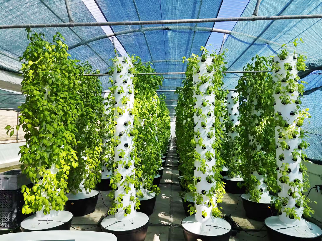 نظام زراعة عمودي هيدروبونيكي ص - مراجعة Hydroponic Tower وسعره
