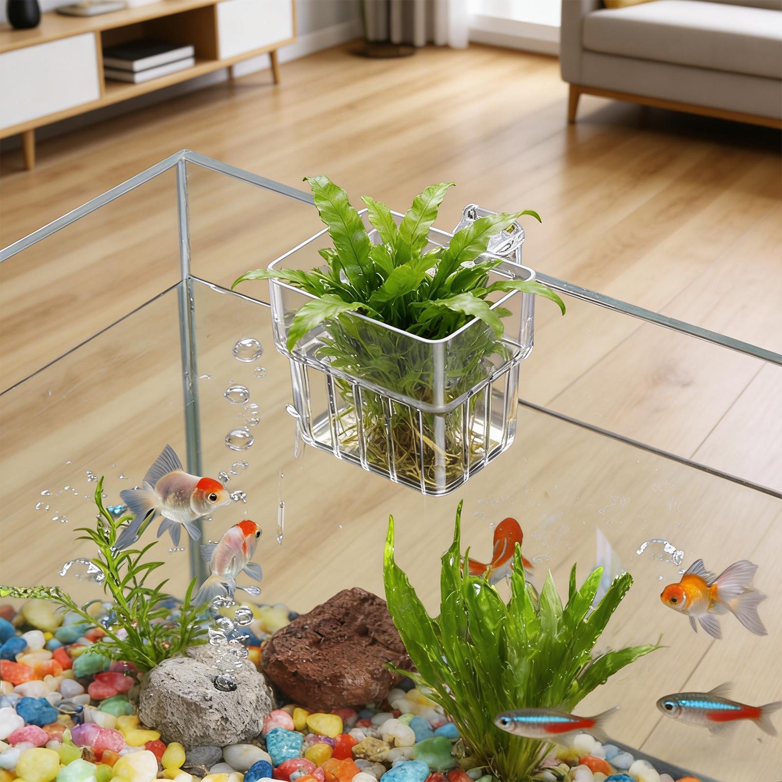 وعاء شفاف قابل للتعليق لحمل نب - مراجعة Hydroponic Grow Pod وسعره