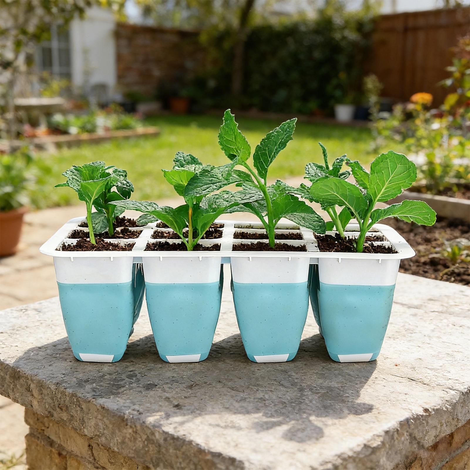 مجموعة من 5 صواني سيليكون لبدء - مراجعة Indoor Garden Kit وسعره