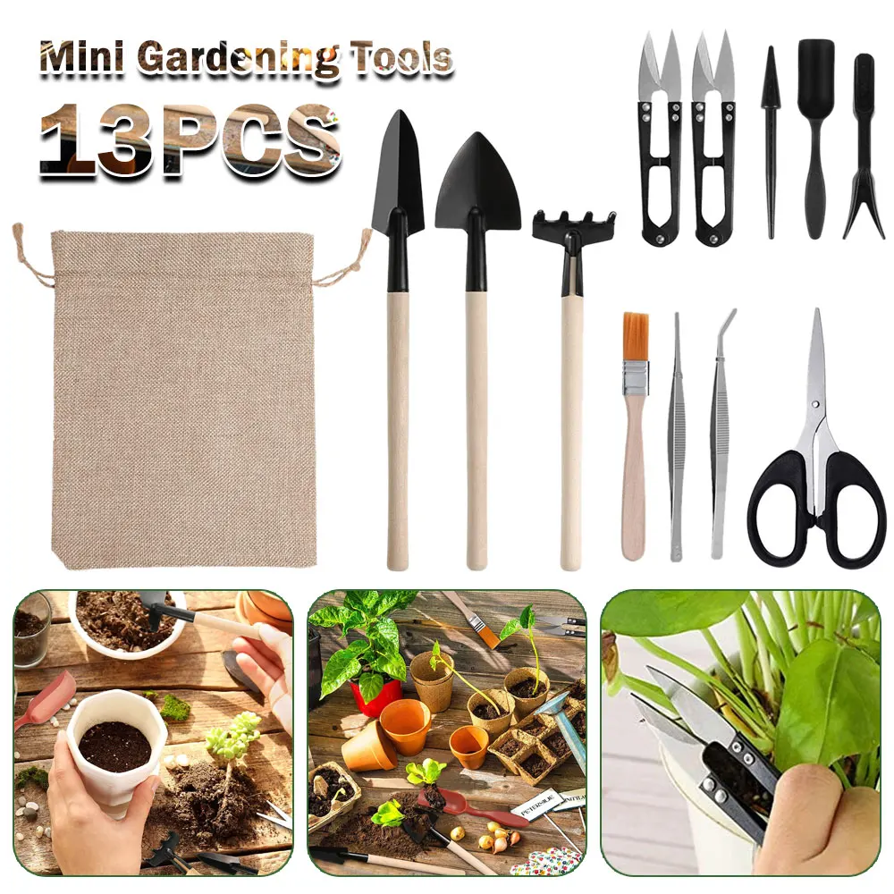 مجموعة أدوات النباتات العصارية - مراجعة Indoor Garden Kit وسعره