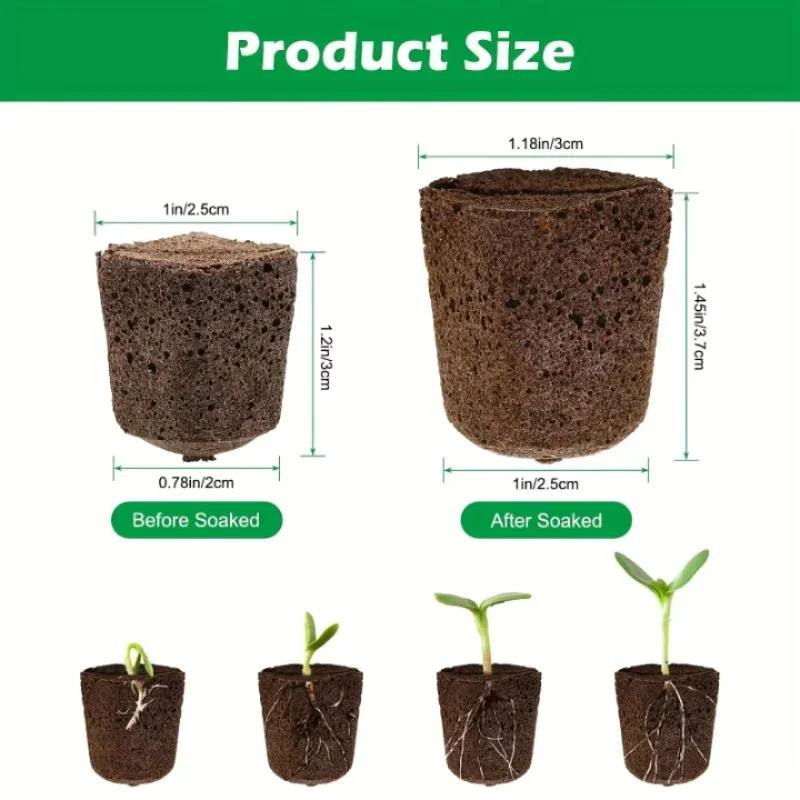 مجموعة إسفنجية لبدء زراعة الشت - مراجعة Indoor Garden Kit وسعره