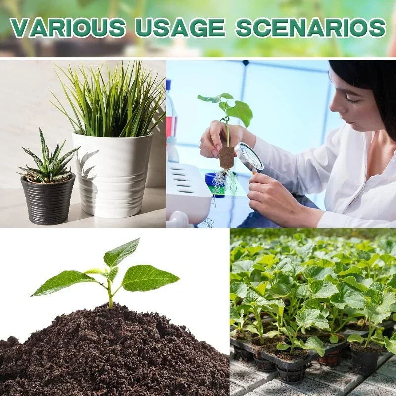 مجموعة إسفنجية لبدء زراعة الشت - مراجعة Indoor Garden Kit وسعره
