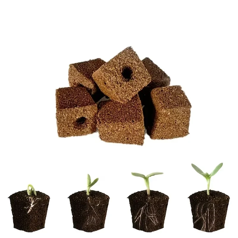 مجموعة إسفنجية لبدء زراعة الشت - مراجعة Indoor Garden Kit وسعره