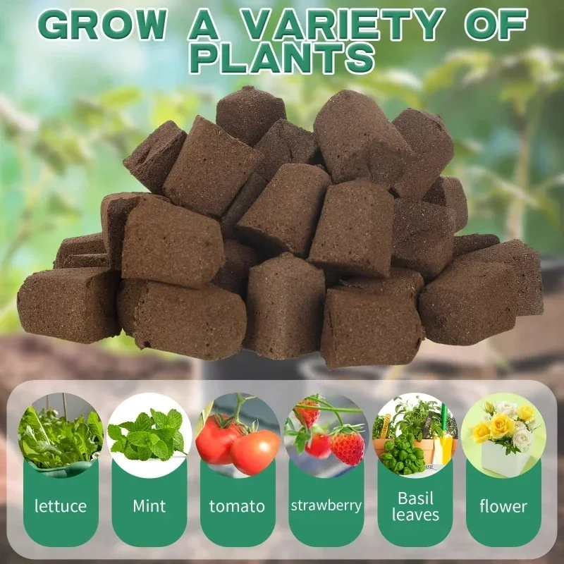 مجموعة إسفنجية لبدء زراعة الشت - مراجعة Indoor Garden Kit وسعره