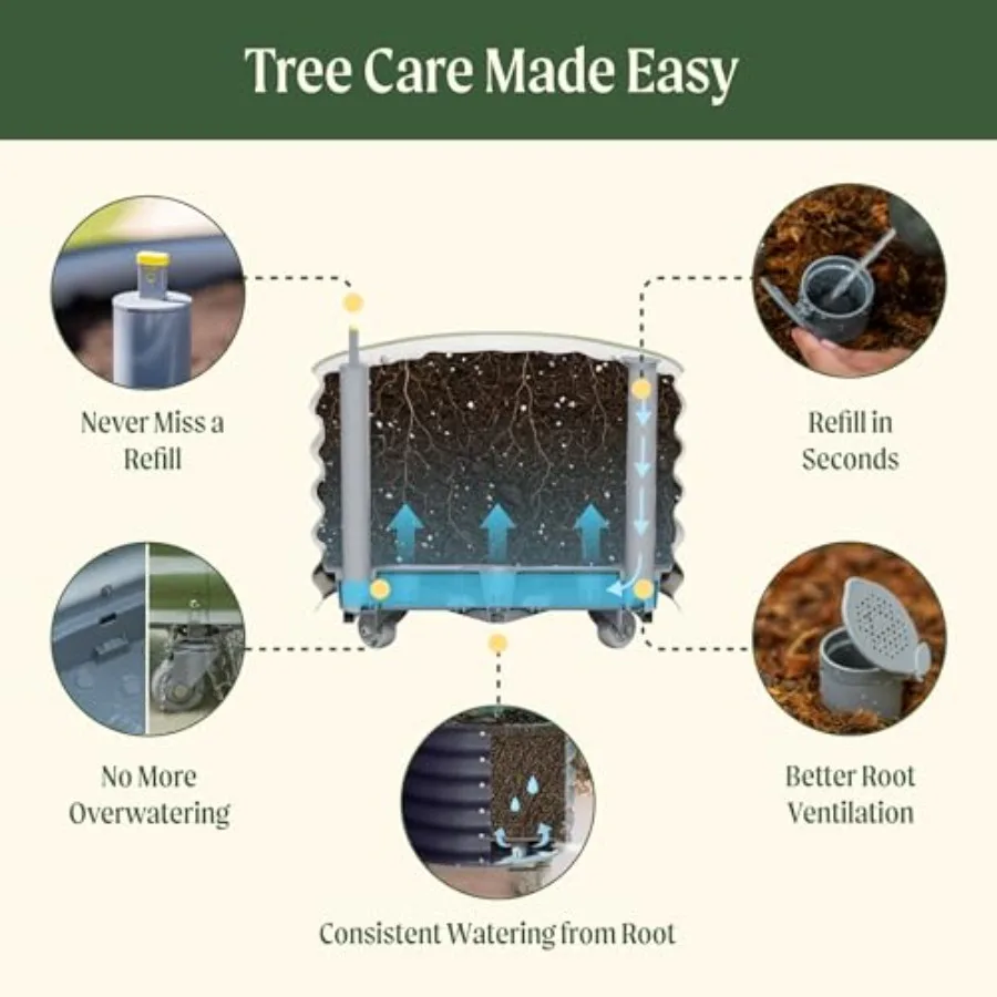 وعاء زراعة شجرة الحمضيات الدوا - مراجعة Self Watering Planter وسعره