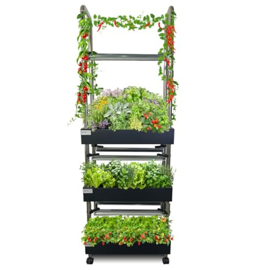 نظام زراعة مائية داخلي: حديقة  - مراجعة Smart Garden System وسعره