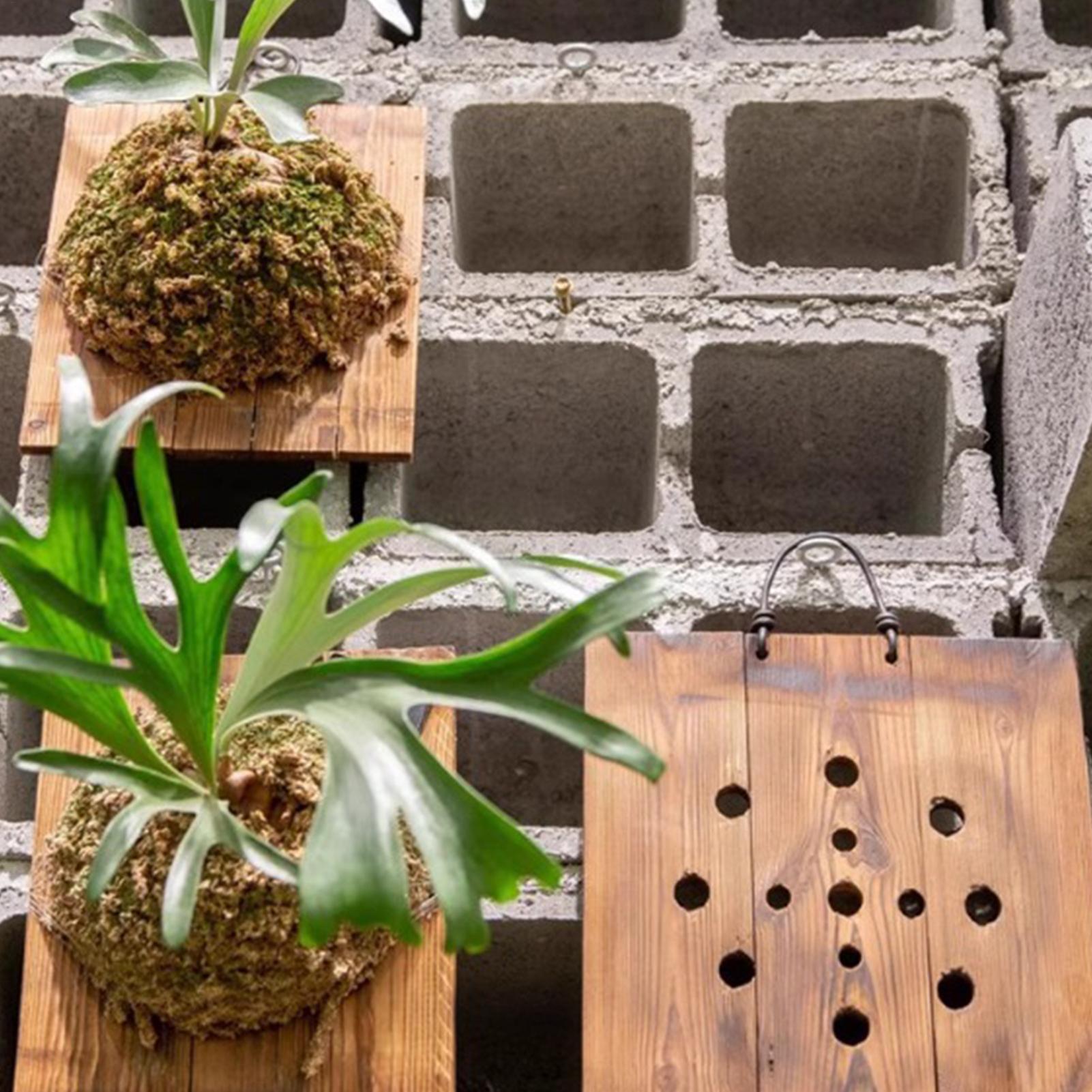 لوحة حائطية خشبية لزراعة النبا - مراجعة Indoor Garden Kit وسعره