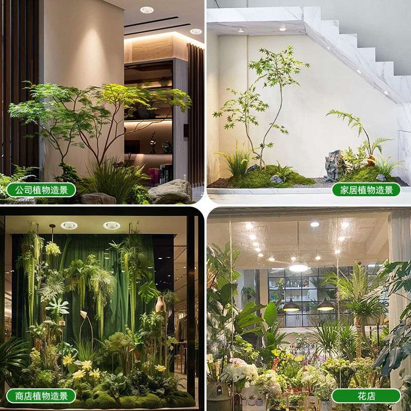 مصباح نمو LED قابل للتعتيم ومت - مراجعة Plant Grow Light Full Spectrum وسعره