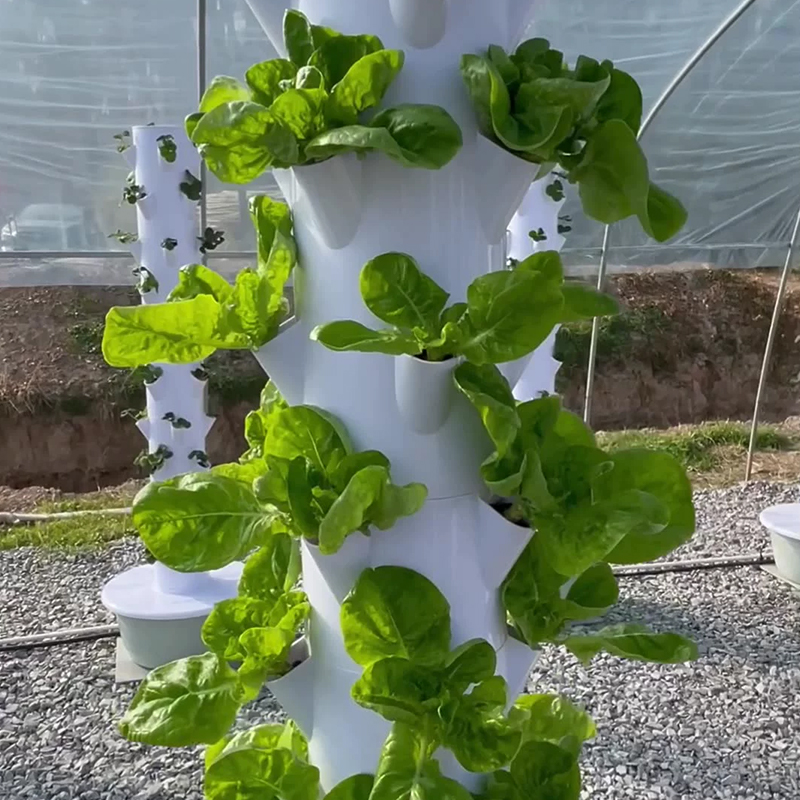 مع Led تنمو ضوء شجرة الفضاء بر - مراجعة Hydroponic Tower وسعره