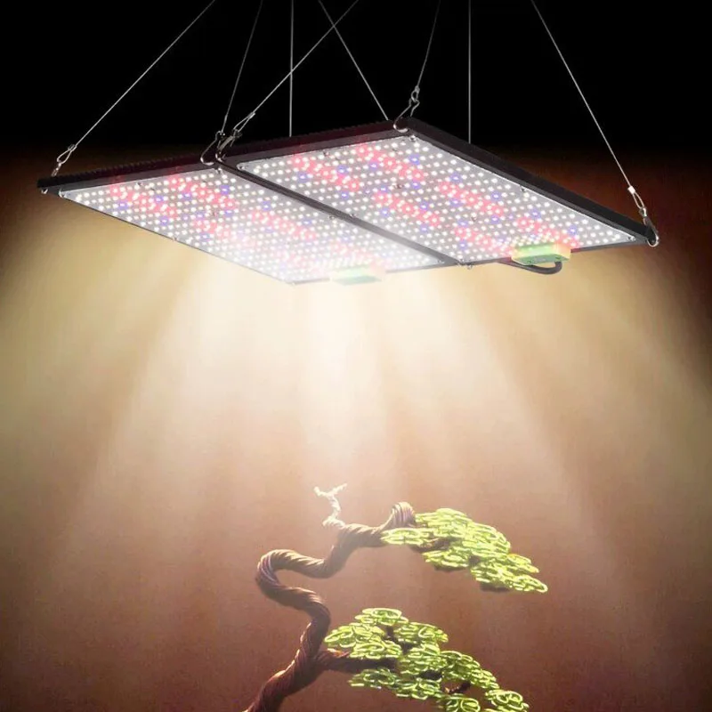 مصباح نمو LED كوانتوم-بورد كام - مراجعة Grow Light Led وسعره
